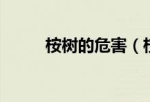 桉树的危害（桉树对环境的影响）