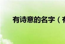 有诗意的名字（有诗意的名字有哪些）