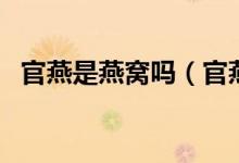 官燕是燕窝吗（官燕和燕窝的区别是什么）