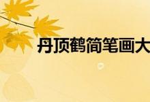丹顶鹤简笔画大全（丹顶鹤简笔画）