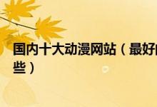 国内十大动漫网站（最好的动漫网站排名知名动漫网站有哪些）
