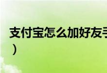 支付宝怎么加好友手机号（支付宝怎么加好友）