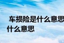  车损险是什么意思包括不计免赔吗 车损险是什么意思 