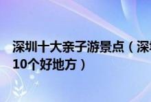 深圳十大亲子游景点（深圳带孩子去哪玩好深圳适合亲子游10个好地方）