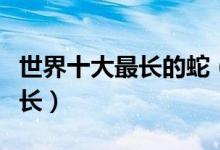 世界十大最长的蛇（蛇类身长排行榜什么蛇最长）