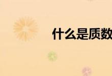 什么是质数（质数的意义）