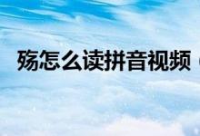 殇怎么读拼音视频（殇怎么读拼音是什么）