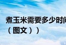 煮玉米需要多少时间可以熟（煮玉米需要多久（图文））