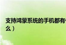支持鸿蒙系统的手机都有什么（支持鸿蒙系统的手机都有什么）