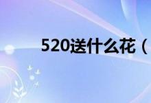 520送什么花（520送什么花合适）