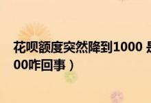 花呗额度突然降到1000 是怎么回事（花呗额度突然降到1000咋回事）