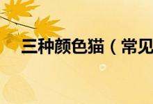 三种颜色猫（常见的三色猫是什么品种）
