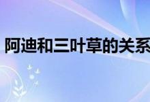 阿迪和三叶草的关系（阿迪和三叶草的区别）