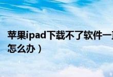苹果ipad下载不了软件一直等待中（苹果ipad下载不了软件怎么办）