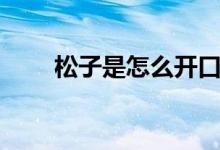 松子是怎么开口的（松子如何开口）