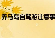 养马岛自驾游注意事项（养马岛自驾游攻略）