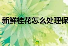 新鲜桂花怎么处理保存（新鲜桂花怎么保存）