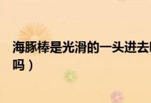 海豚棒是光滑的一头进去吗（海豚形状电动棒是全部塞进去吗）