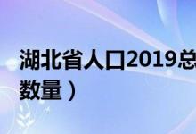 湖北省人口2019总人数口（2019湖北省人口数量）