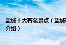 盐城十大著名景点（盐城著名旅游景点排名盐城有名的景点介绍）