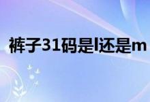裤子31码是l还是m（裤子31码是L还是XL）