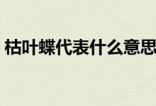 枯叶蝶代表什么意思（枯叶蝶代表什么意思）