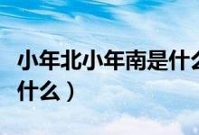 小年北小年南是什么意思（小年北小年南是指什么）