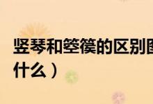 竖琴和箜篌的区别图片（竖琴和箜篌的区别是什么）