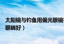 太阳镜与钓鱼用偏光眼镜有何区别（偏光镜和太阳镜哪个对眼睛好）