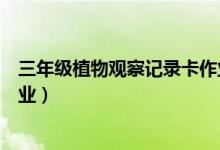 三年级植物观察记录卡作业图片（三年级植物观察记录卡作业）