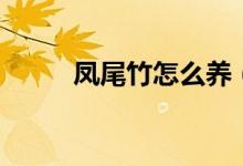 凤尾竹怎么养（凤尾竹养殖方法）