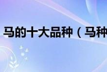 马的十大品种（马种类排名马的种类有几种）