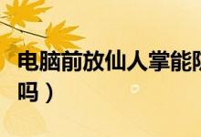 电脑前放仙人掌能防辐射吗（仙人掌能防辐射吗）