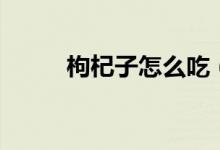 枸杞子怎么吃（枸杞子正确吃法）