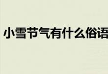 小雪节气有什么俗语（小雪节气有什么含义）