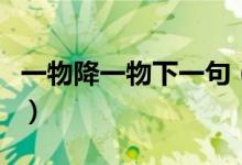 一物降一物下一句（一物降一物下一句是什么）