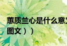 蕙质兰心是什么意义（蕙质兰心是什么意思（图文））