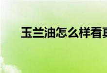 玉兰油怎么样看真假（玉兰油怎么样）