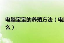 电脑宝宝的养殖方法（电脑宝贝的养殖方法和注意事项是什么）