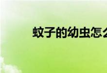 蚊子的幼虫怎么读（蚊子的幼虫）