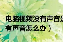 电脑视频没有声音是怎么回事儿（电脑视频没有声音怎么办）
