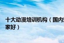 十大动漫培训机构（国内知名动漫培训机构动漫培训学校哪家好）