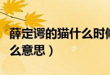薛定谔的猫什么时候提出来的（薛定谔的猫什么意思）