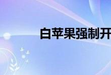 白苹果强制开机教程（白苹果）