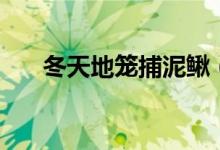 冬天地笼捕泥鳅（冬天地笼捕鱼方法）