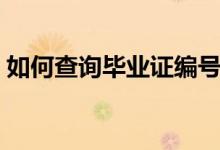 如何查询毕业证编号（毕业证编号在哪儿查）