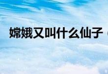 嫦娥又叫什么仙子（嫦娥的别称什么仙子）