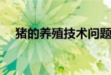 猪的养殖技术问题（猪的养殖技术方法）