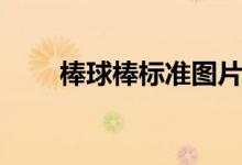 棒球棒标准图片（棒球棒标准尺寸）