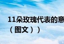 11朵玫瑰代表的意思（11朵玫瑰代表的意思（图文））